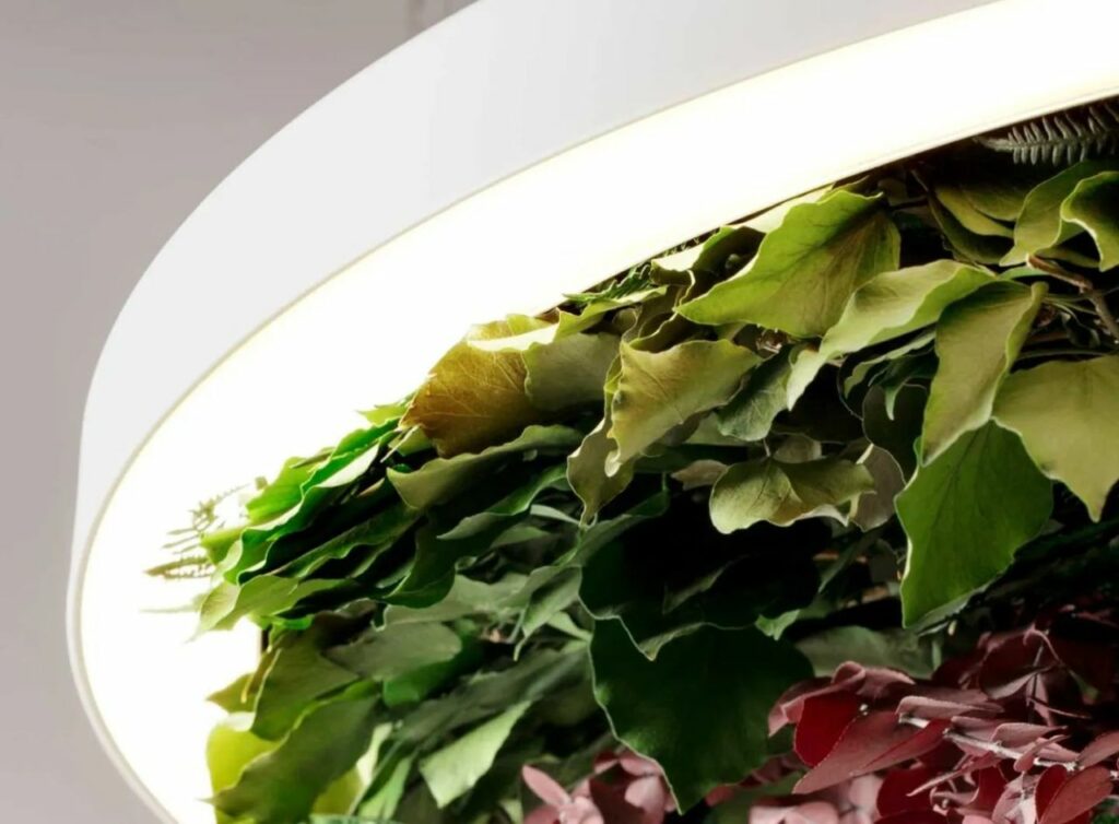 OLEV to Unveil Ceiling Lights with Upside-Down Gardens at Salone 2023