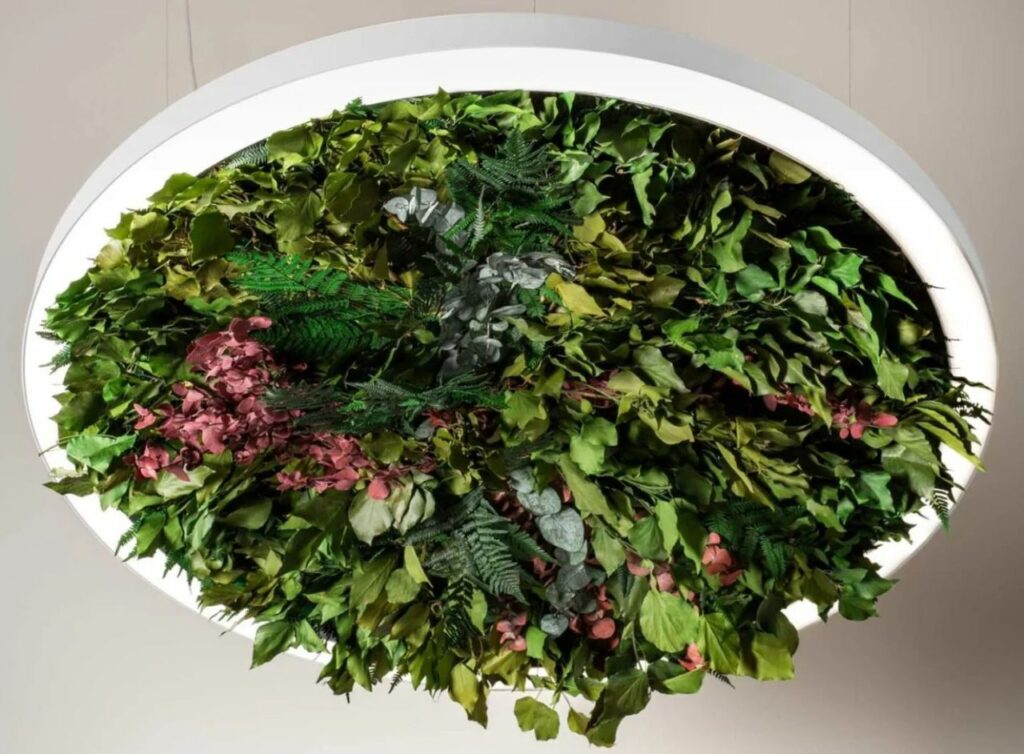 OLEV to Unveil Ceiling Lights with Upside-Down Gardens at Salone 2023