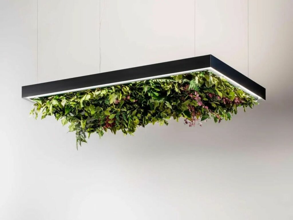 OLEV to Unveil Ceiling Lights with Upside-Down Gardens at Salone 2023