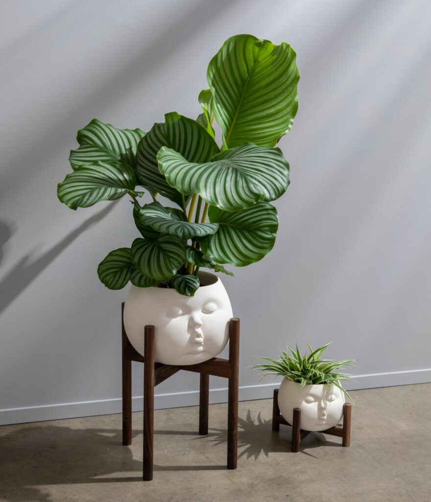 This Plump Face Planter by Johnson Tsang is a Functional Piece of Art