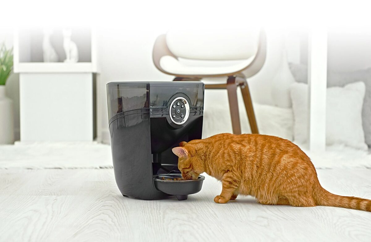 Improving Your Cat's Health With Benefits of Automatic Pet Feeder