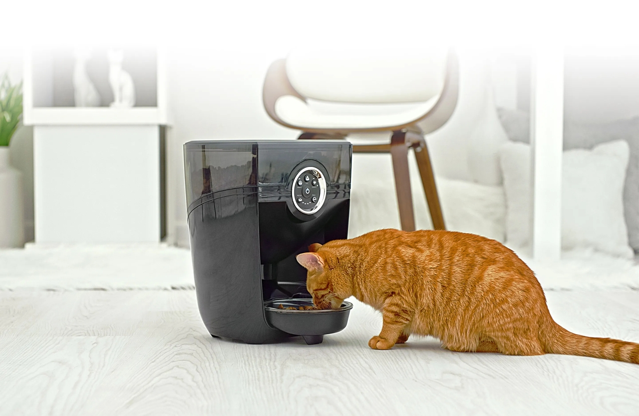 Improving Your Cat's Health With Benefits of Automatic Pet Feeder