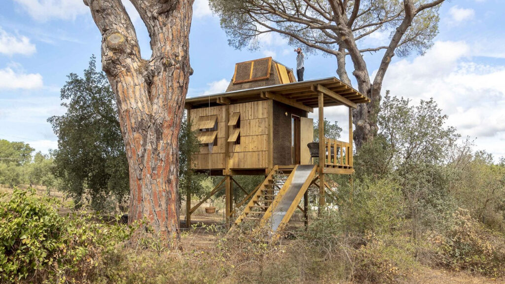 Columba-Treehouse