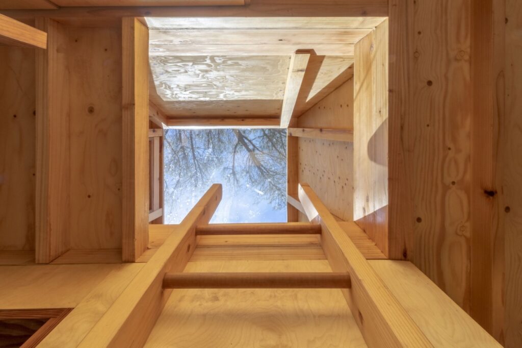 Columba Treehouse Skylight on Second Level