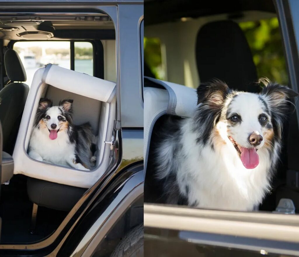 Enventur is inflatable travel dog kennel.