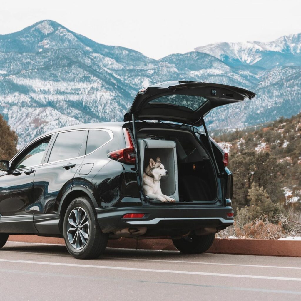 Enventur is an inflatable travel dog kennel