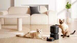 automatic pet feeder benefits