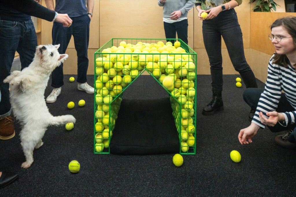 Fetch dog kennel designed by Coffey Architects is filled with tennis balls