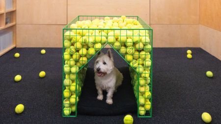 Coffey Architects’ Fetch Dog House Adds Balls to the Game Fetch dog kennel designed by Coffey Architects
