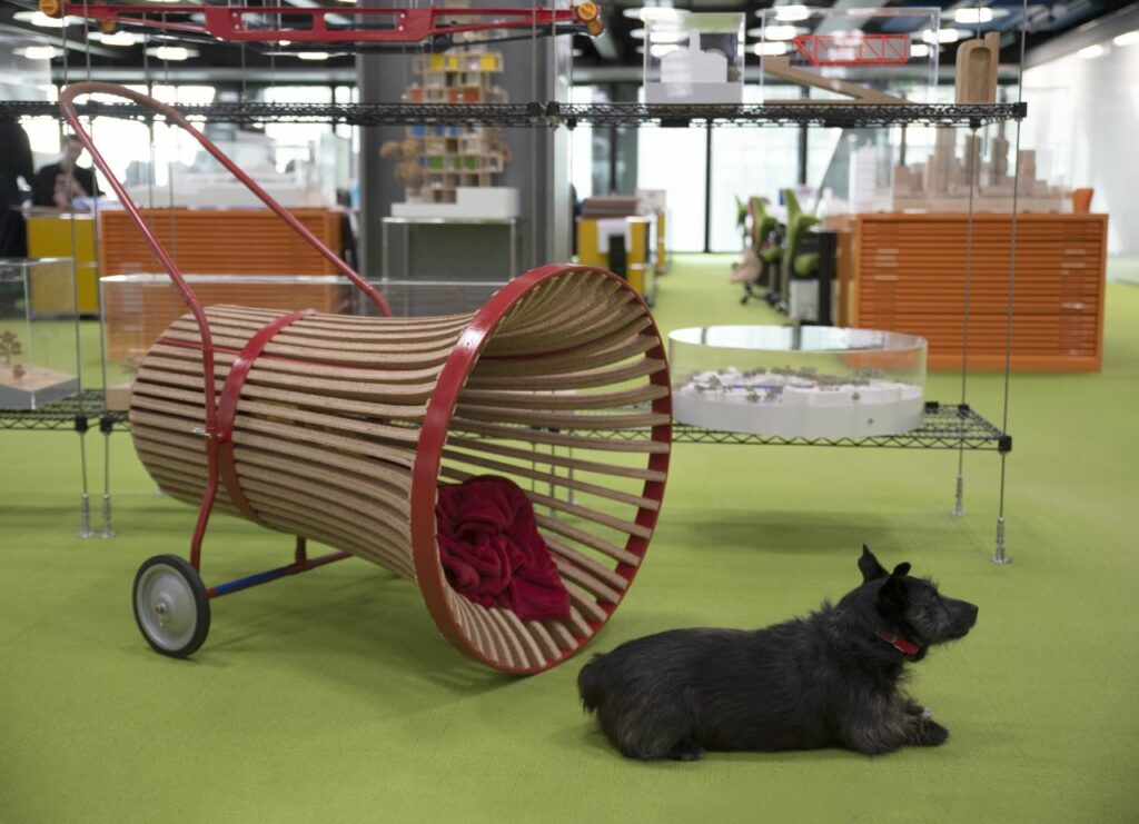 Poochchair by Rogers Stirk Harbour + Partners