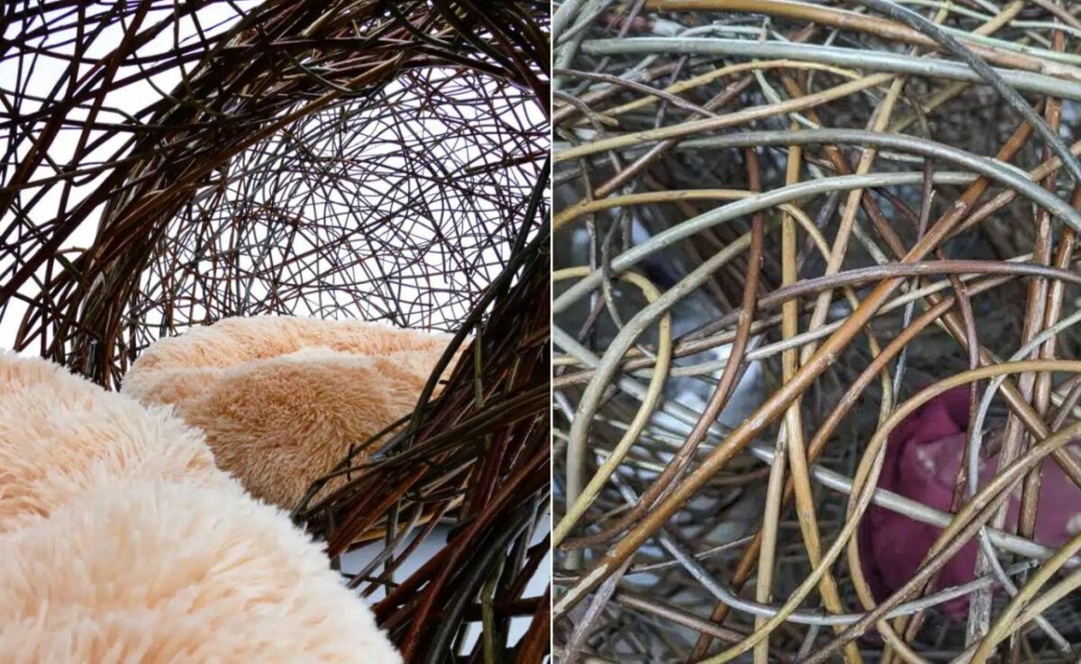 Hawkes Architecture’s The Dog Kennel is a Woven Set of Balls