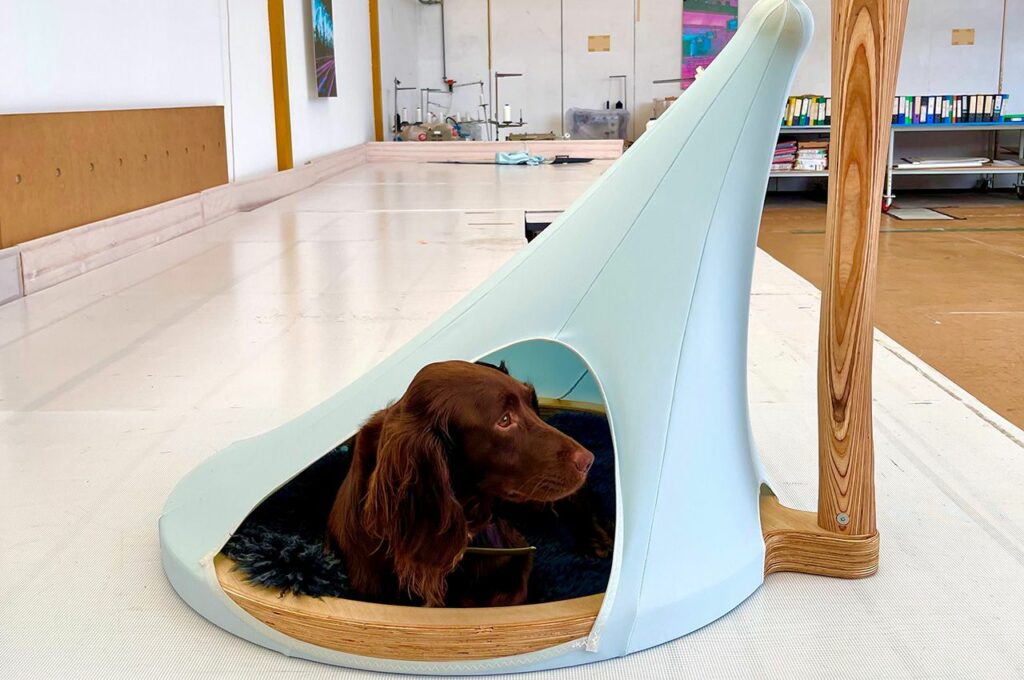 Wig Wag Dog Kennel design by Hall + Bednarczyk