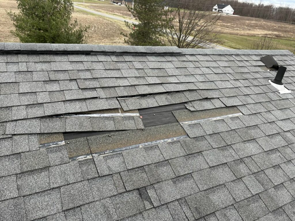 damaged roof shingles