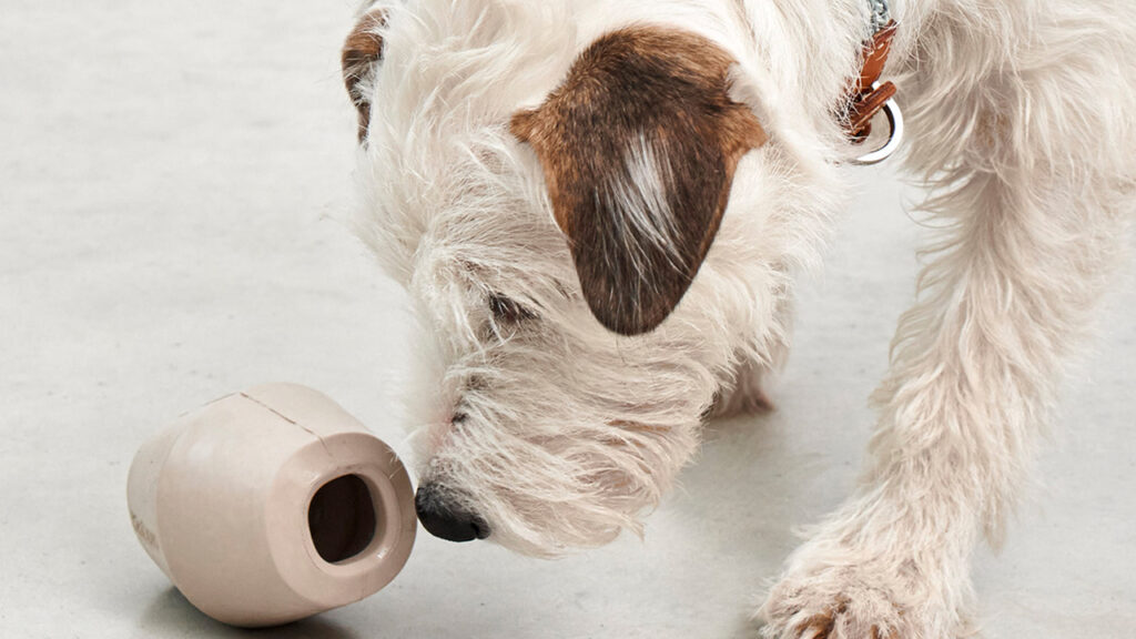 Cono Activity Toy doubles as a pet feeder