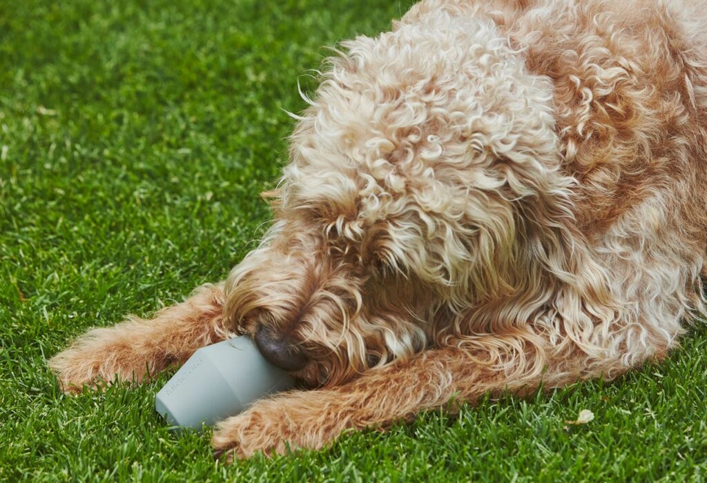 Cono Activity Toy doubles as a pet feeder