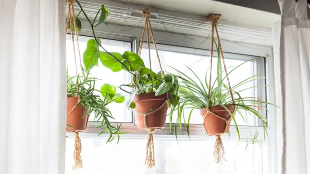 Hanging-planters