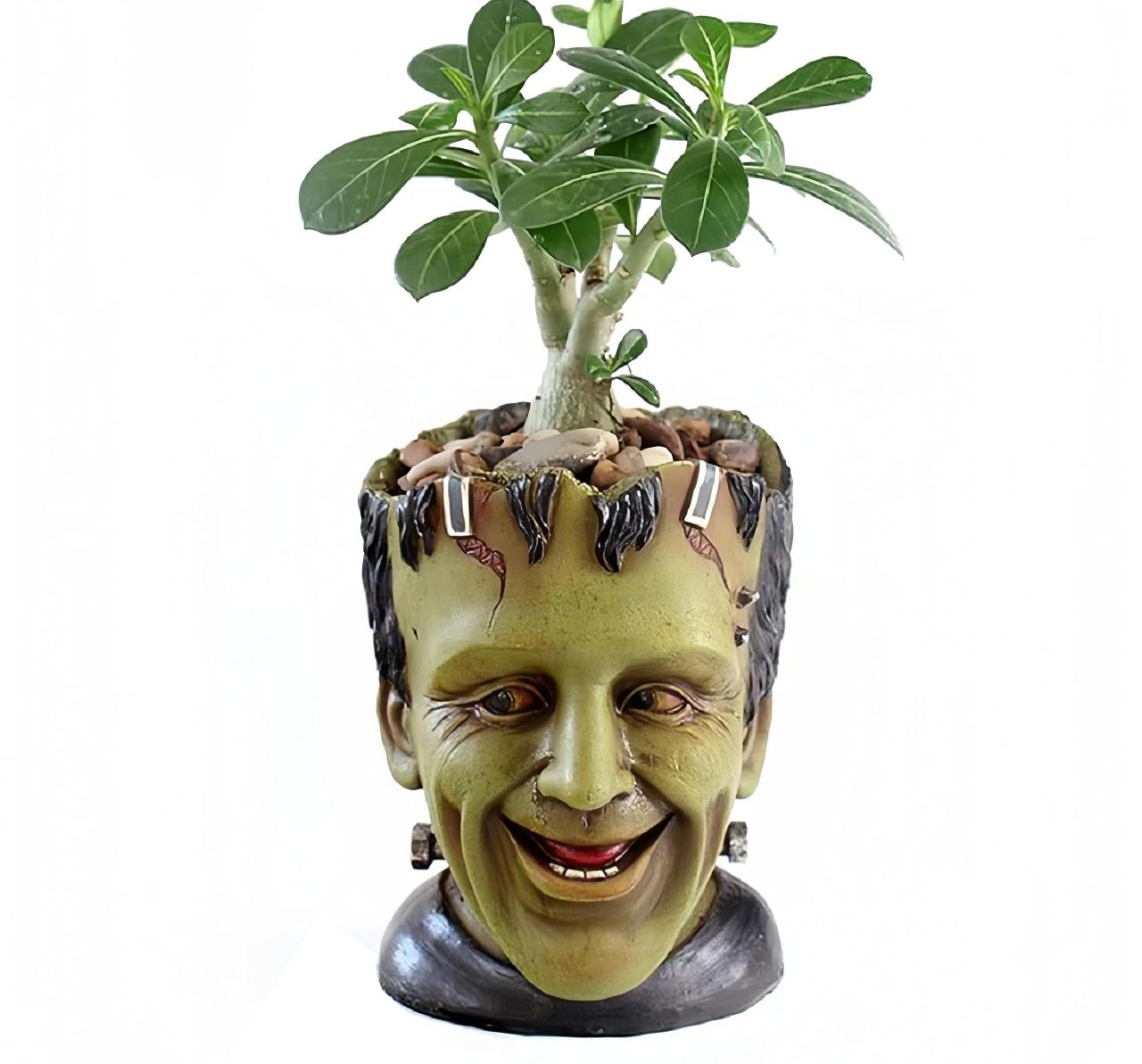 Frankenstein Planter Head