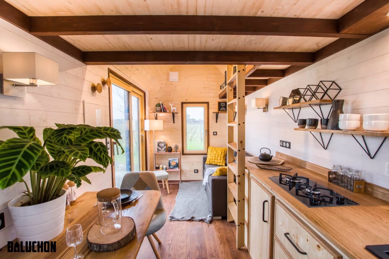 Mogote Tiny House-kitchen and living room