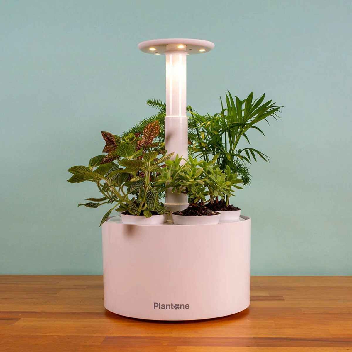 Plantone 2.0 Smart Garden Autonomously Rears 5 Plants Together