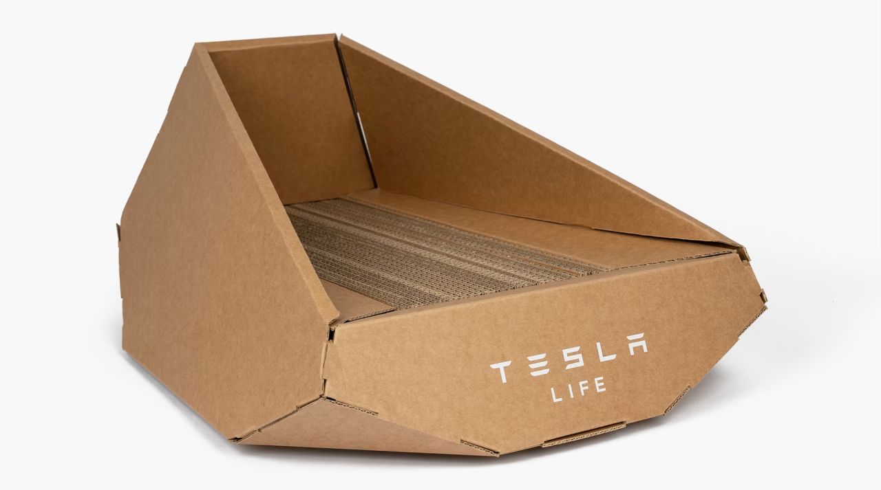 Tesla cardboard litter box