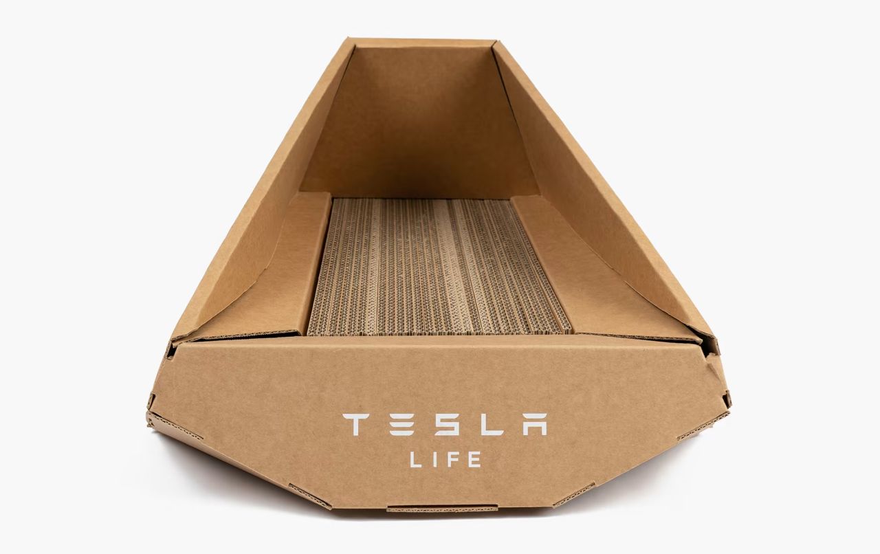 Tesla cardboard litter box