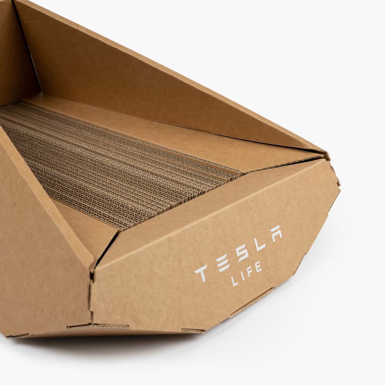 Tesla cardboard litter box