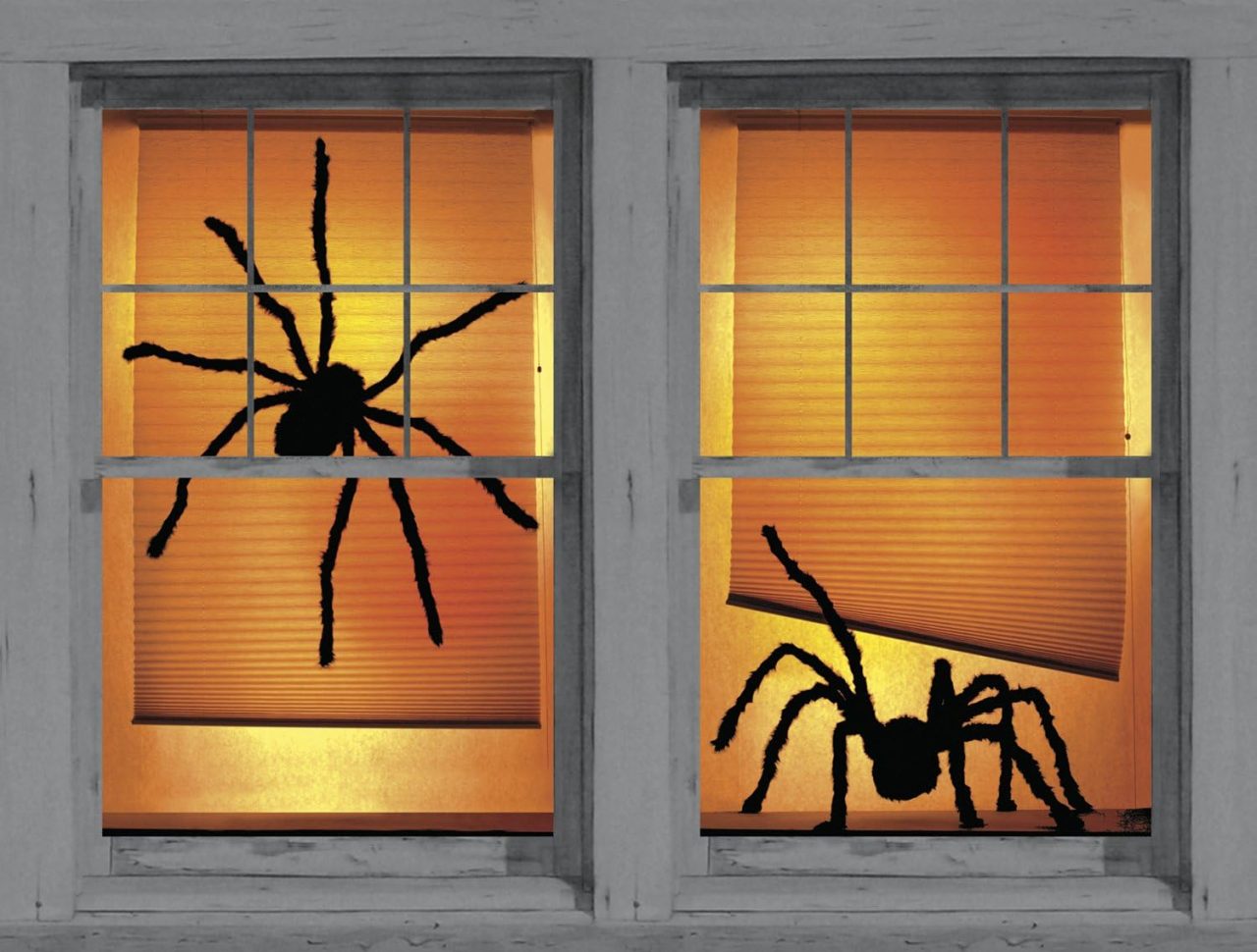 Window poster with spiders