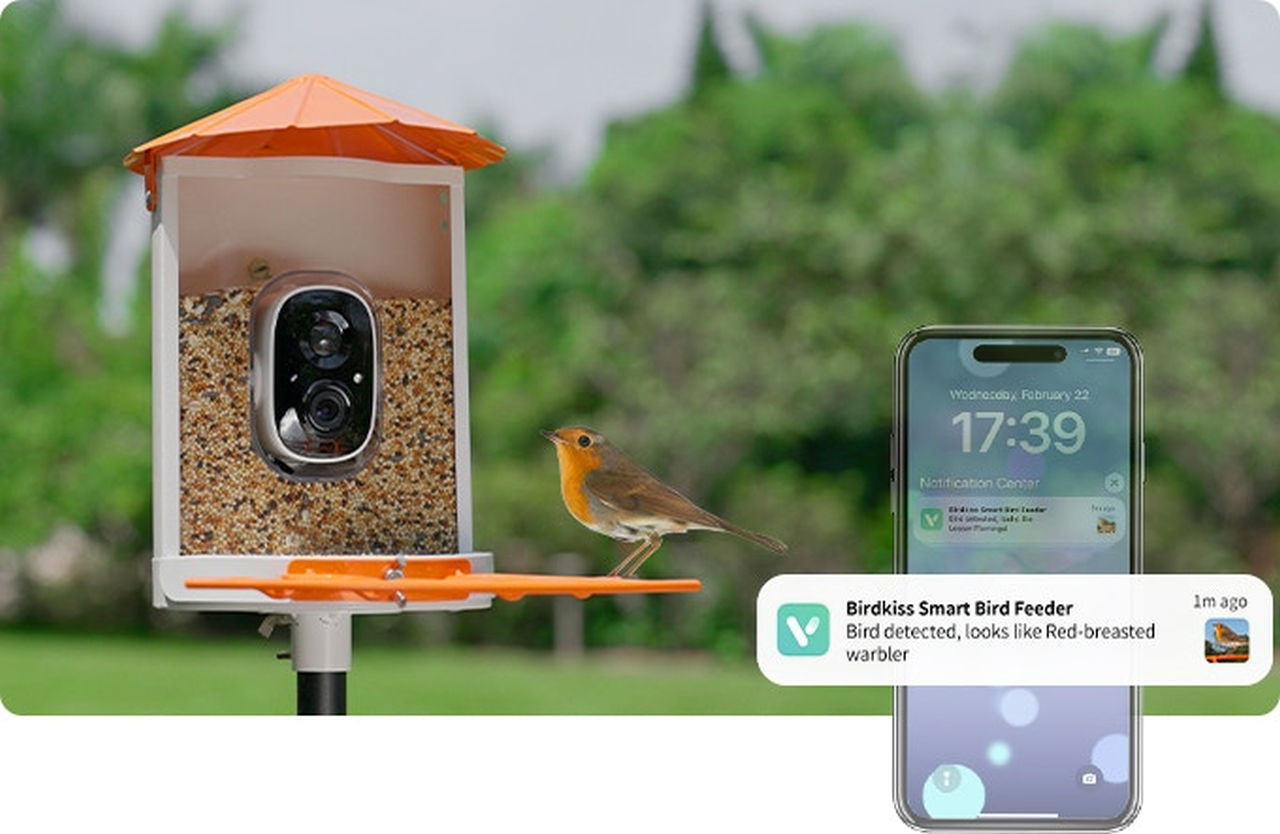 BirdKiss S1 Bird Feeder-Image 4