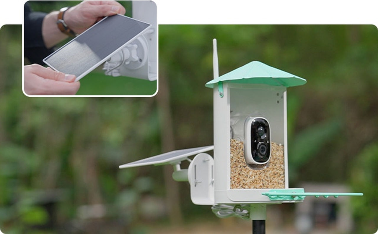 BirdKiss S1 Bird Feeder-Image 8