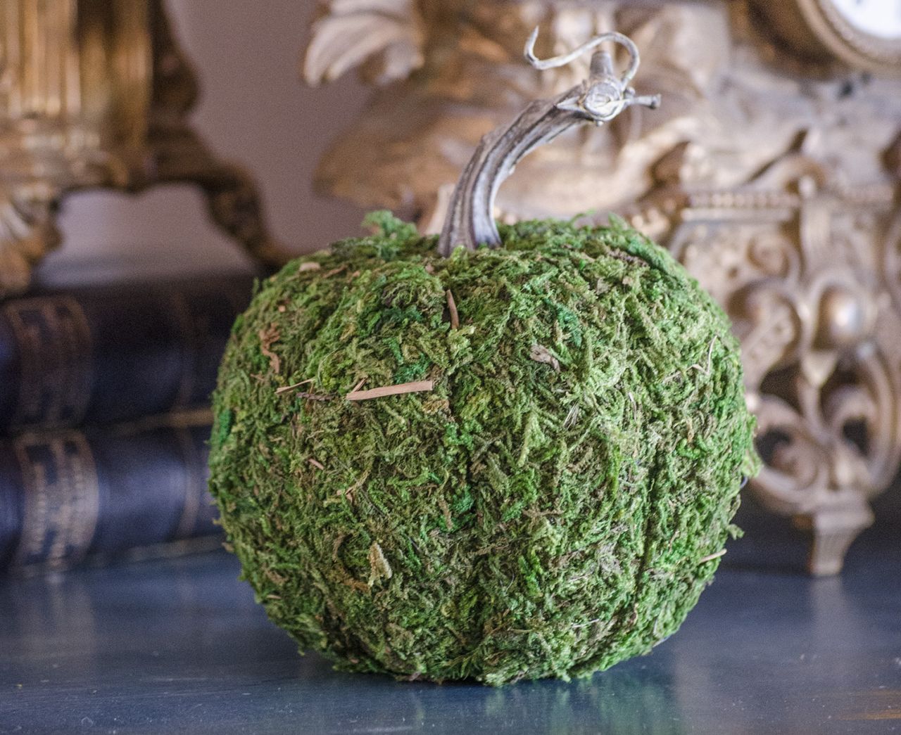 DIY Moss Pumpkin