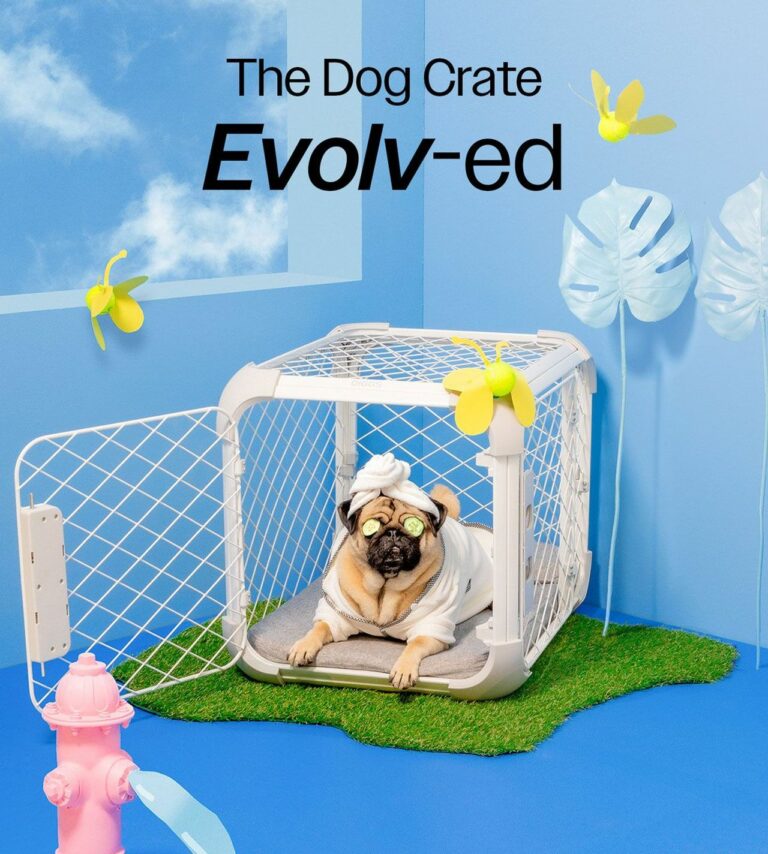 Dog Crates For Large Dogs DIGGS Evolv Dog Crate Slim, Durable
