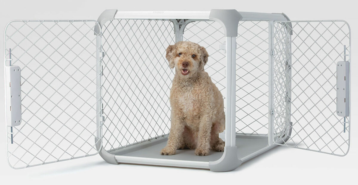 Diggs Evolv Dog Crate is your pet's Hybrid Playpen