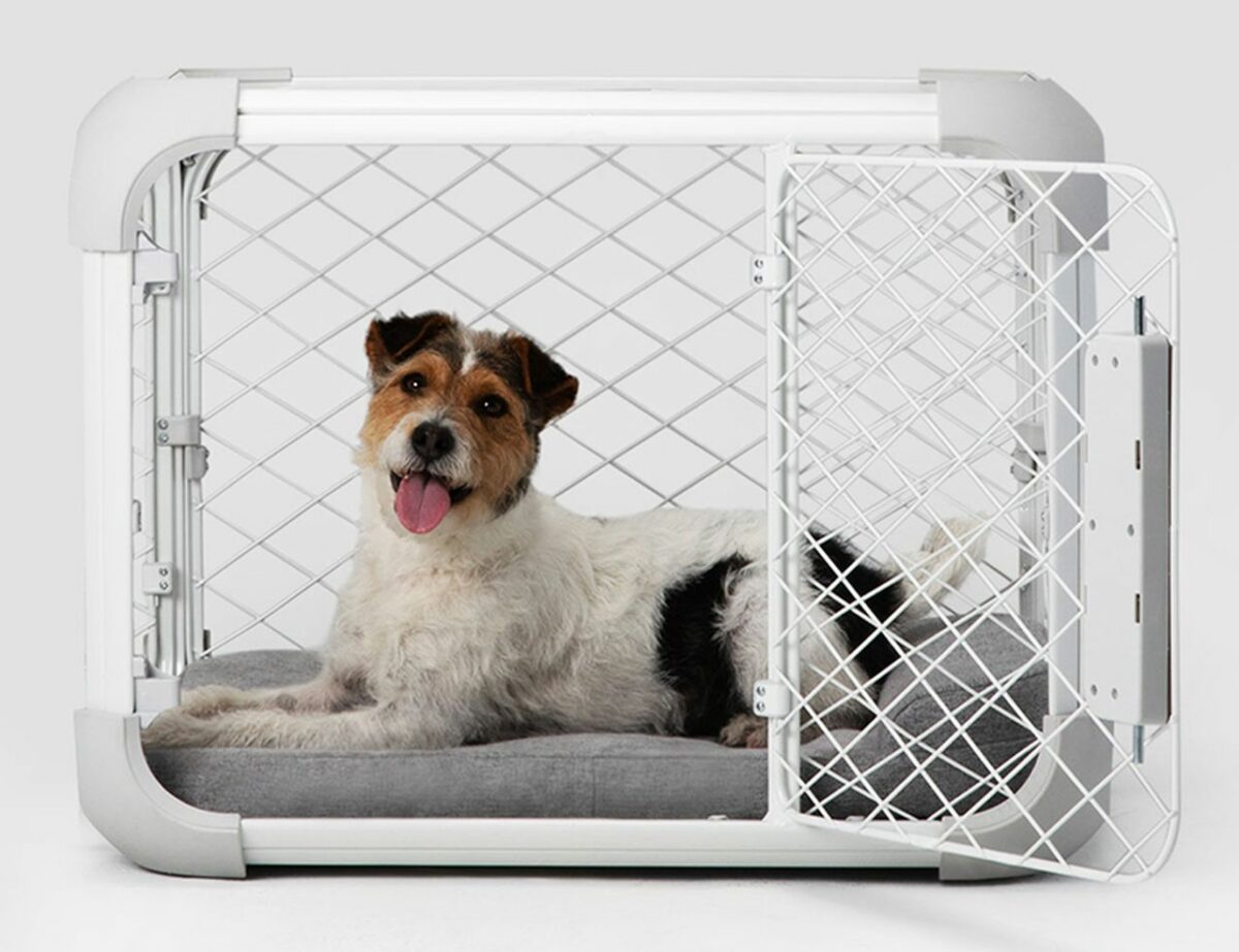 Diggs Evolv Dog Crate is your pet's Hybrid Playpen