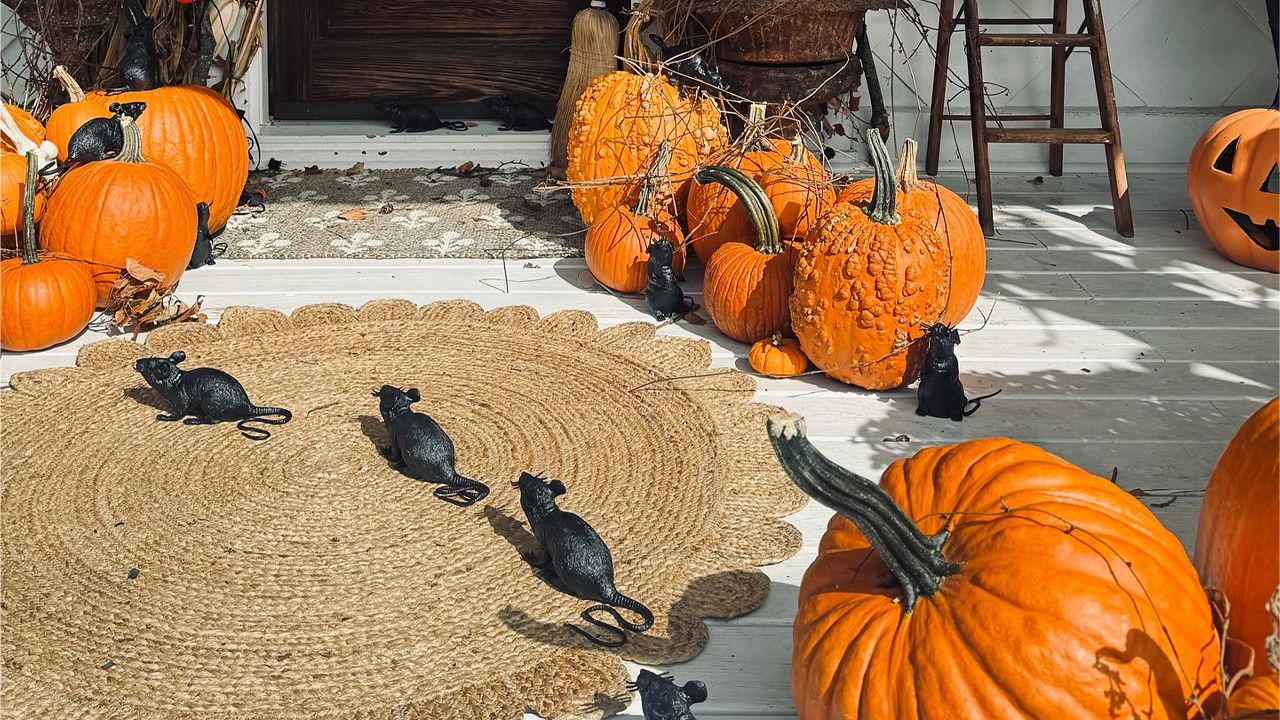 Front Porch Halloween Decoration Ideas - Rats