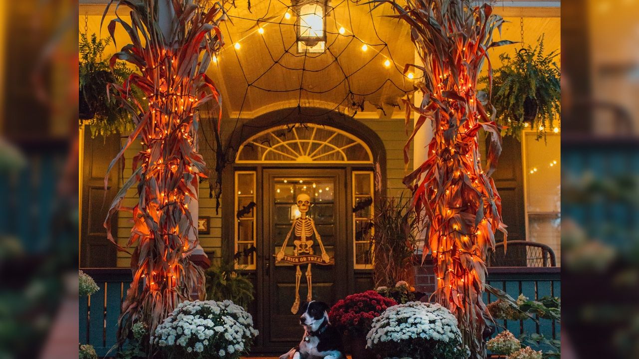 Front Porch Halloween Decoration Ideas - lit cornstalk