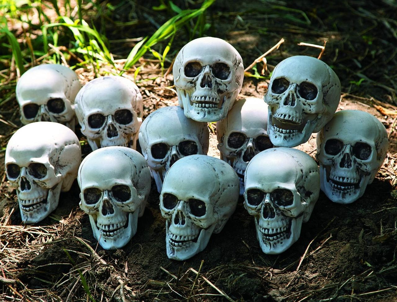 Fun Express Bag of Realistic Bulk Skeleton Skulls
