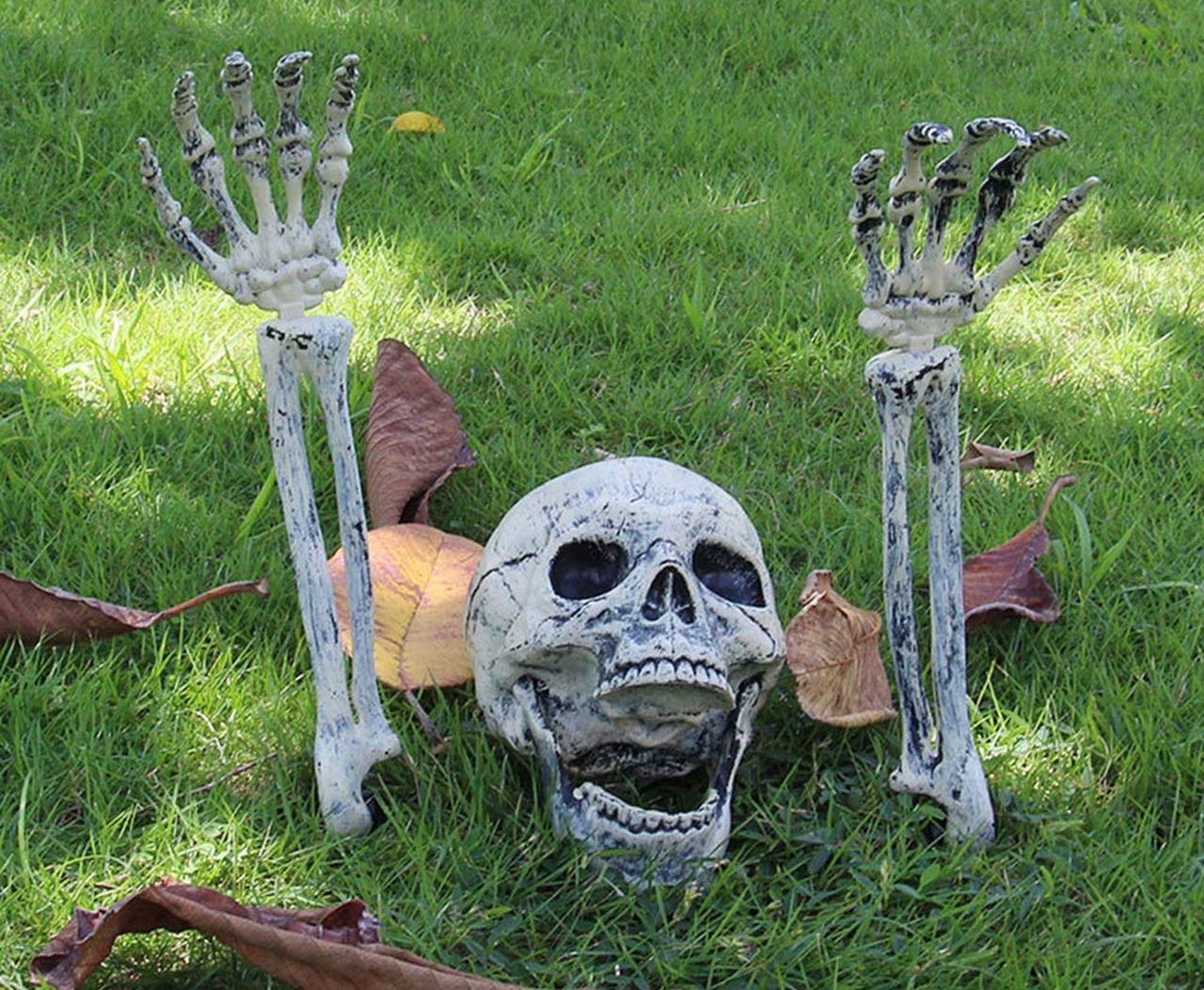 Realistic Skeleton Stakes