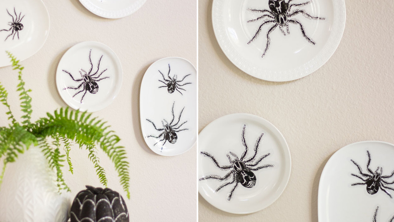 Spider Wall Art