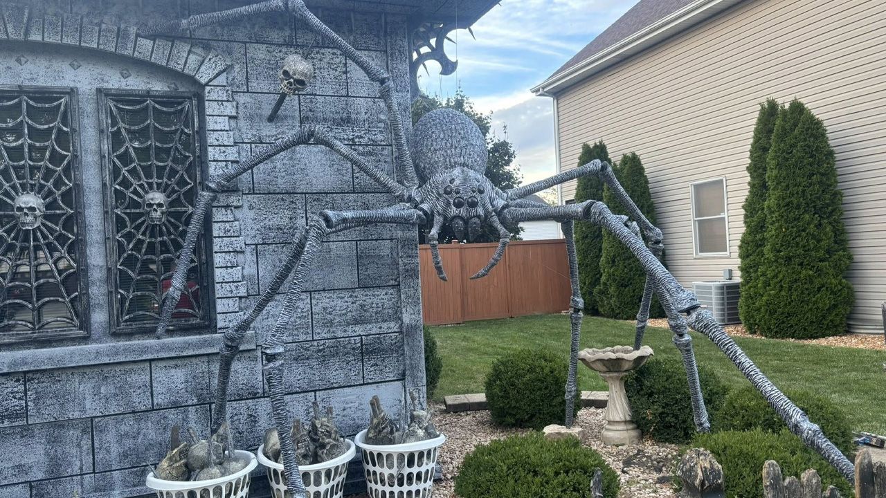 DIY Outdoor Halloween Decorations - Giant Spider