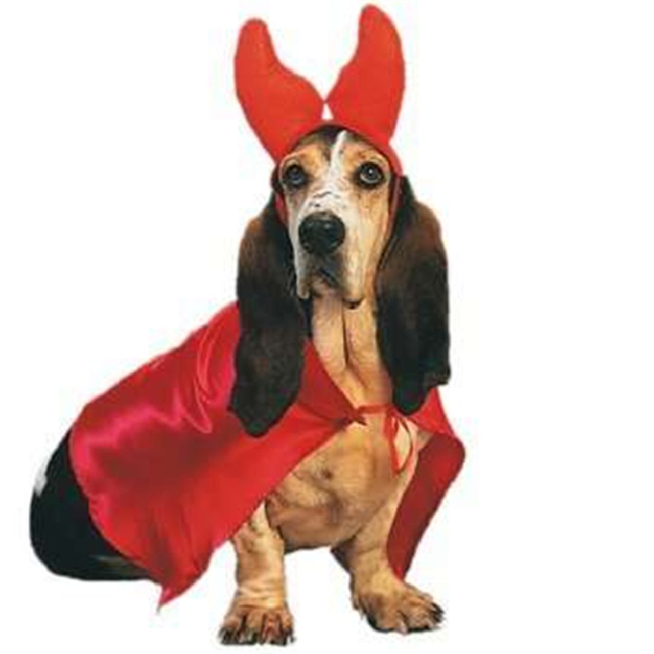 Devil Dog Costume