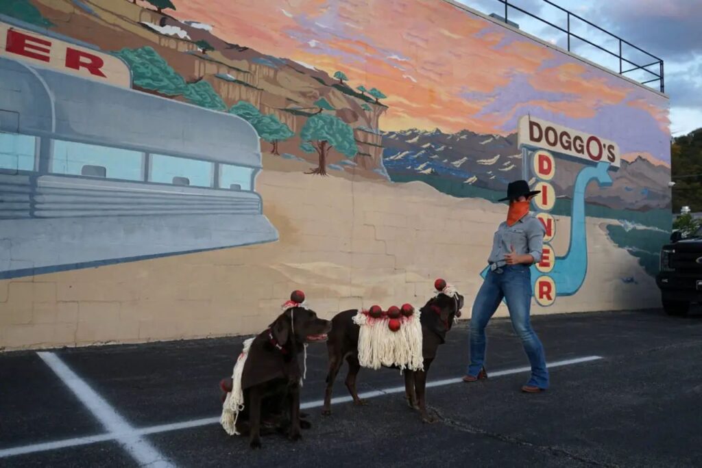 20 DIY Dog Halloween Costumes to Try in 2023