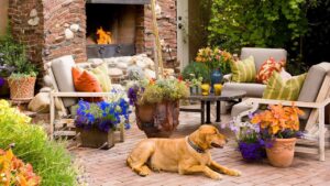 Amazing Ways to Transform Your Patio into an Outdoor Oasis Easy Ways to Transform Your Patio into an Outdoor Oasis