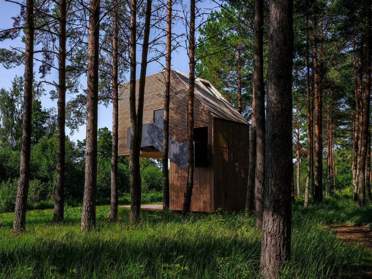 Piil Treehouse by Arsenit is nestled between towering pine trees