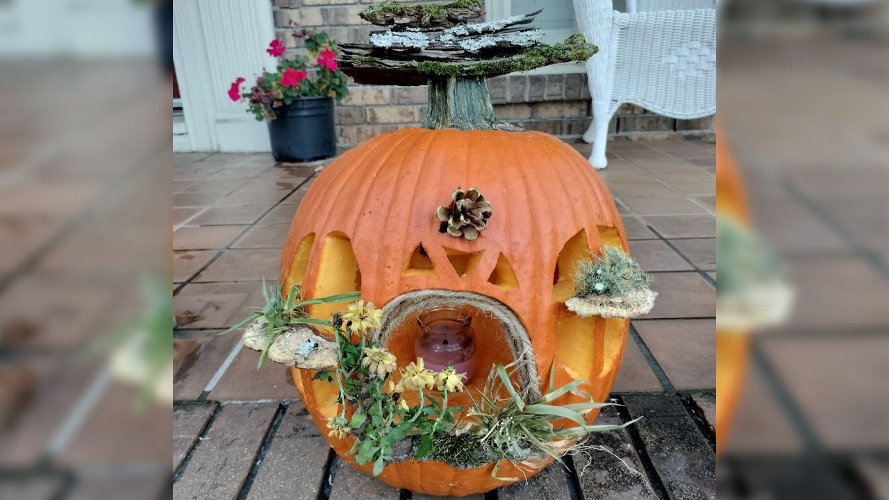 Pumpkin Fairy Garden Display Ideas - natural foliage