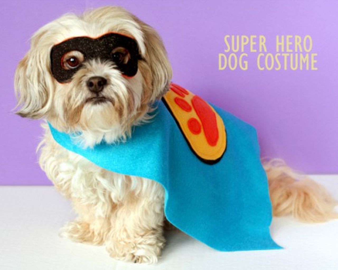 Superhero Dog Costume for Halloween