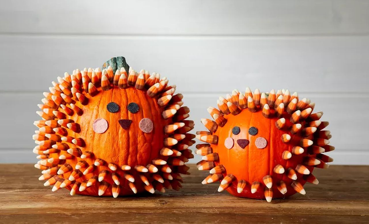 hedgehog no carve pumpkin