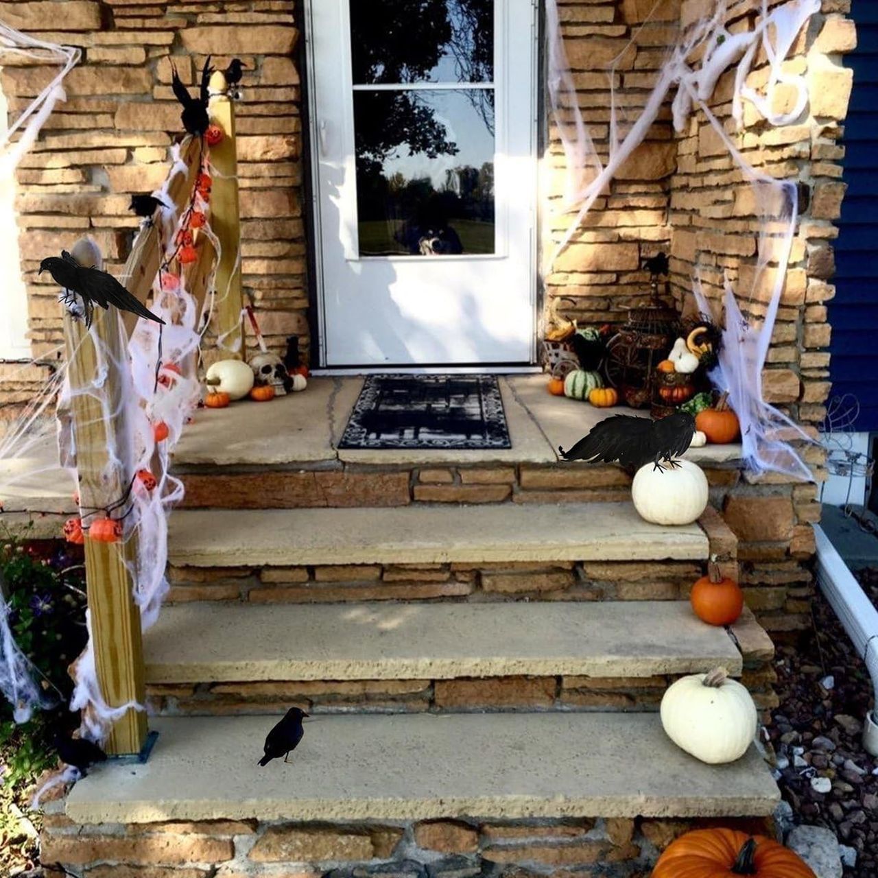 outdoor halloween decorations for stairs using real looking crows