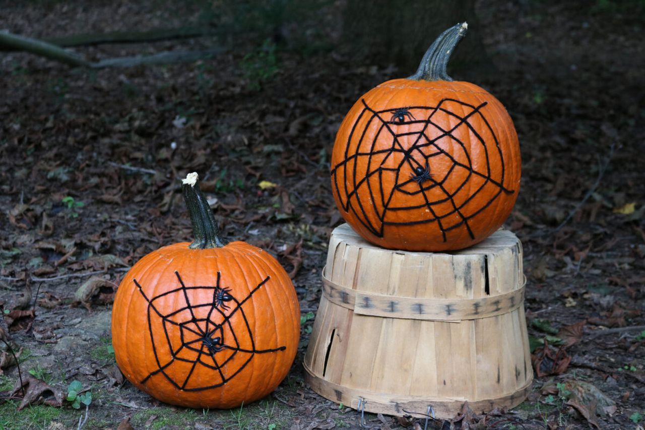 spider web pumpkin