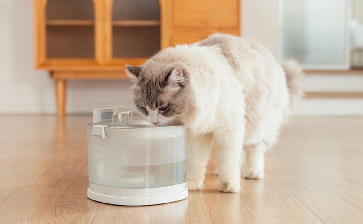 Elfin Pet Water Fountain has Pumpless Design and 30-Day Battery