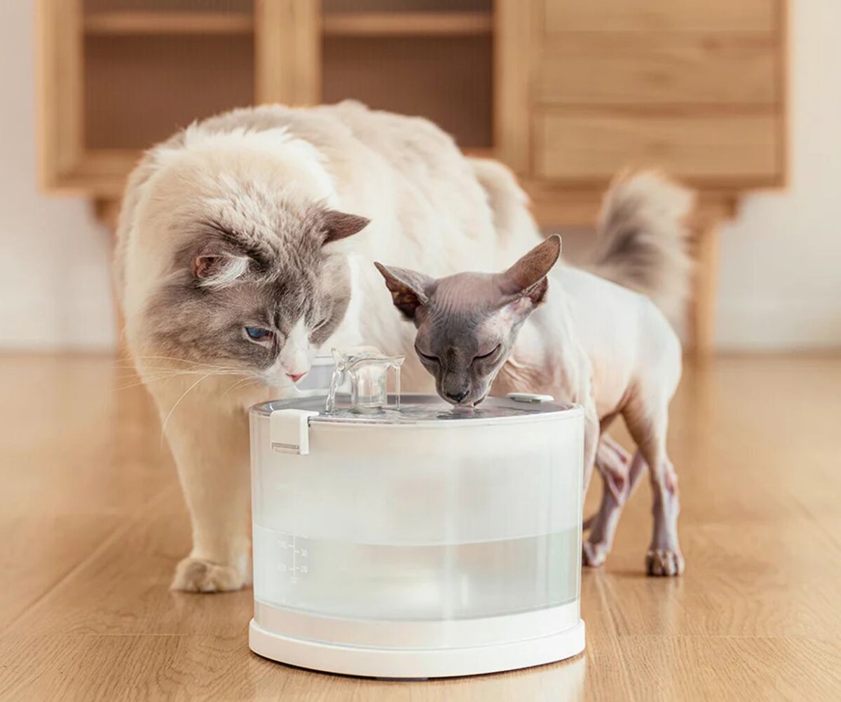 Elfin Pet Water Fountain has Pumpless Design and 30-Day Battery